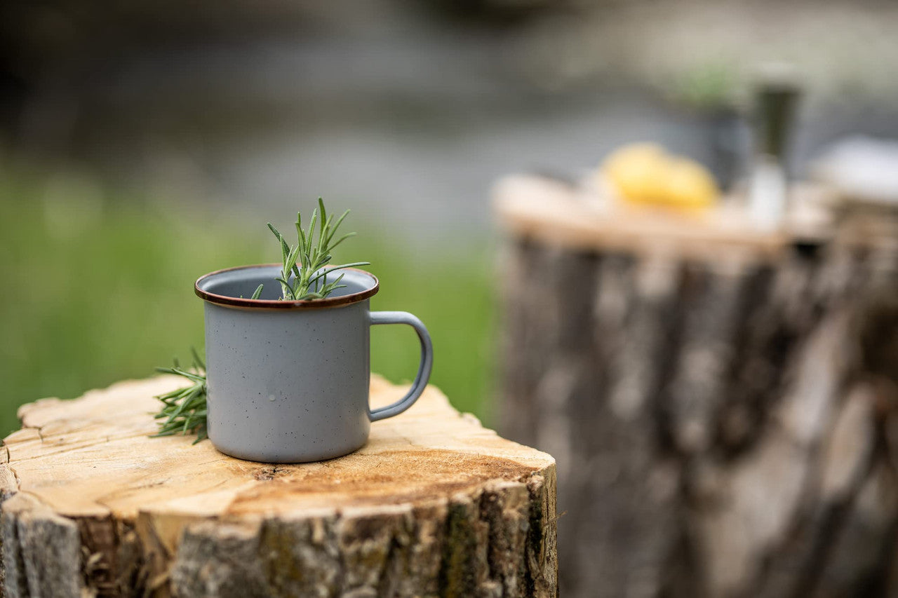 Barebones Enamel Cup Set of 2 14-oz (Slate Gray)