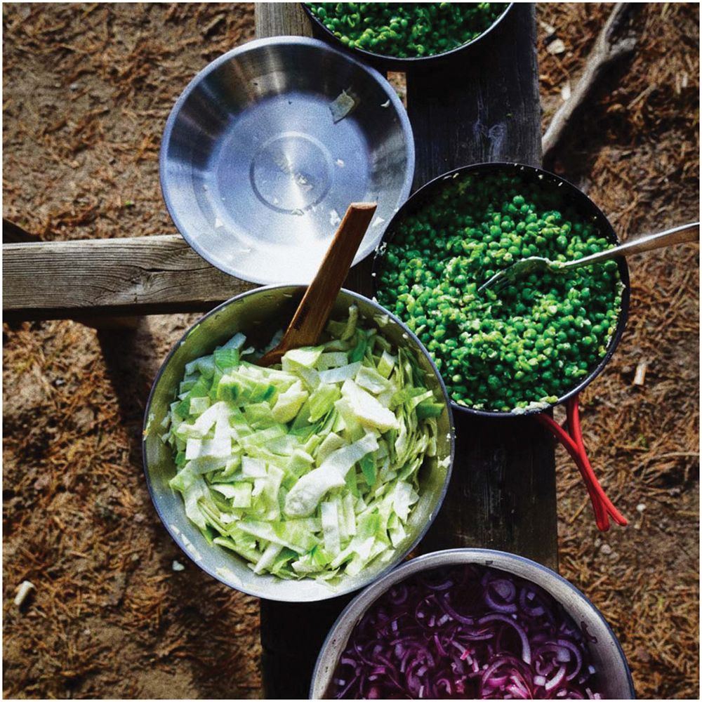 CampFire Serving Kit